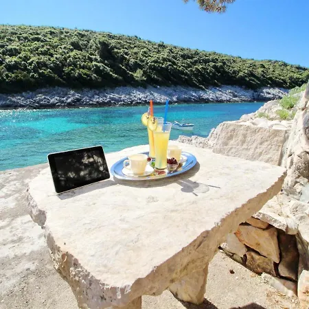 Oasis Of Paradise *